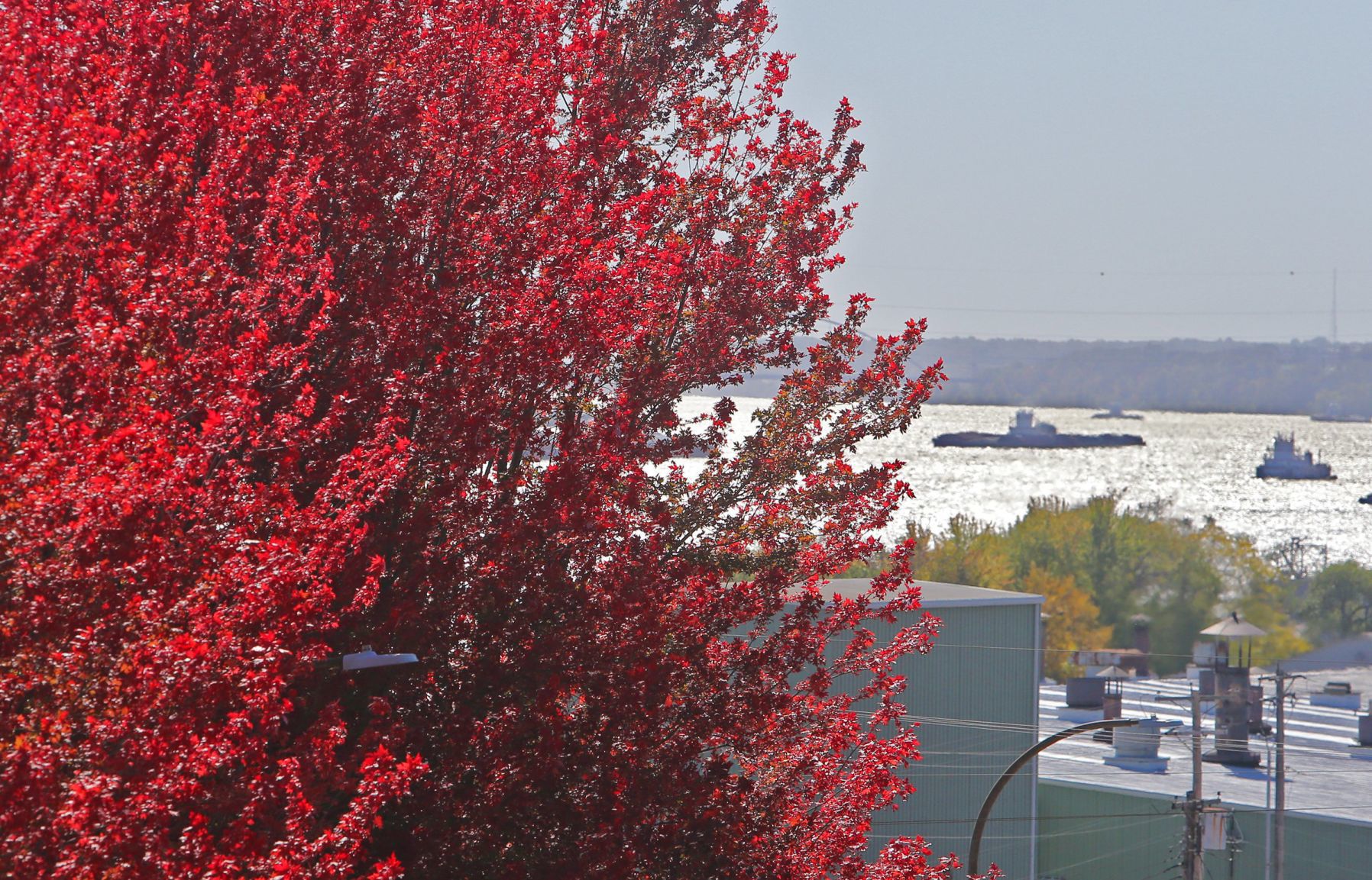 Fall Arrives in the St. Louis region